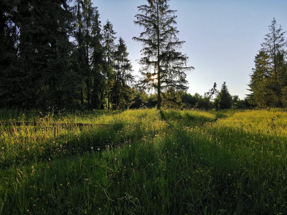 Ferienwohnung To Tu Czarna Góra Exterior foto